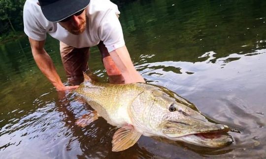 Le glide bait, un leurre efficace