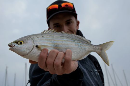 La pesca in mare, una tecnica divertente ed efficace da praticare