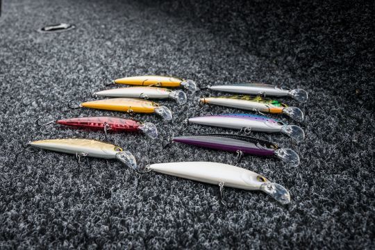 Le Yasei Trigger Twitch