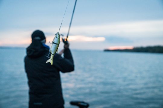 Des leurres faciles à utiliser et accessibles