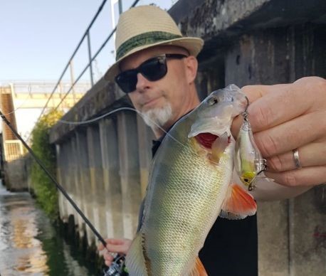 Les quais verticaux sont d'excellents spots pour la pêche des percidés.