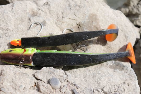 Un leurre souple épais résiste bien aux dents des brochets.