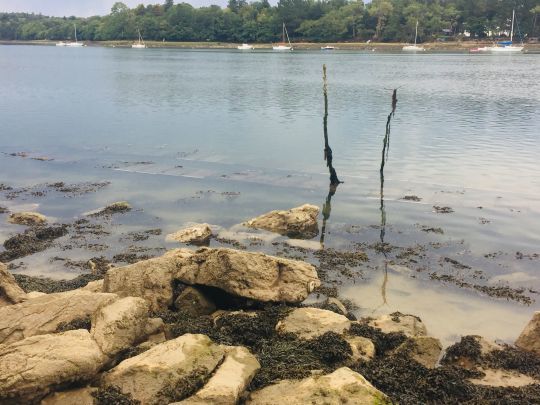 Les parcs à huitres sont de très bons secteurs pour pêcher en surface