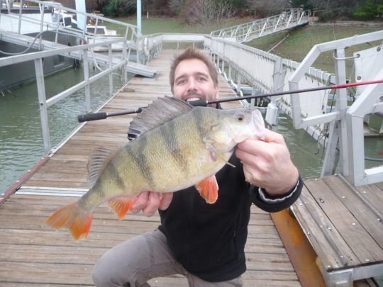Les gros poissons sont souvent âgés. Cette raison est bien souffisante pour les relâcher car ils sont déjouer de nombreux pièges avant que vous de réussissiez à les capturer.