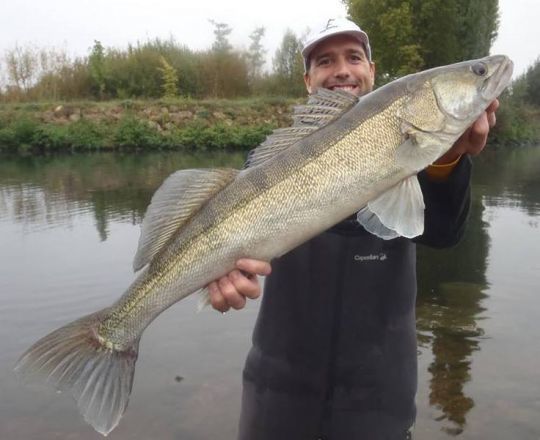 Pour espérer prendre des poissons trophées régulièrement il faut relâcher les plus gros.