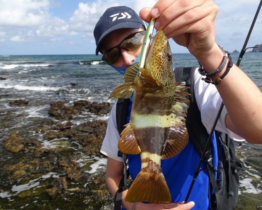 Découvrir de nouvelles espèces de poisson