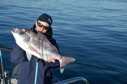 Certains poissons comme le pagre ne nécessitent pas de fluorocarbone