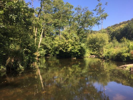 Les secteurs boisés sont propices à la pêche avec des terrestres