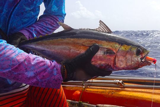 record mondiale di spigola