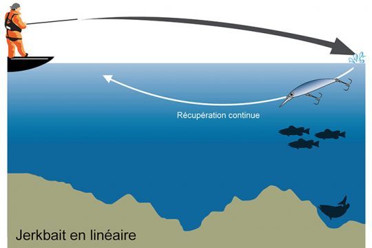 Récupération linéaire rapide : simple et efficace