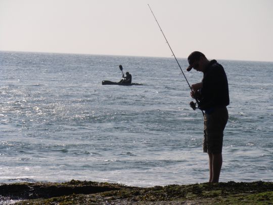 Les pêcheurs du bord ne pouvaient plus garder de bar au mois d'août alors que les plaisanciers oui.