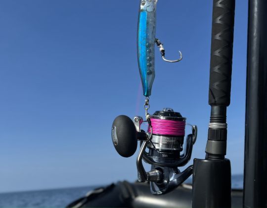 Le TwinPower 14000, par sa forte récupération, est particulièrement adapté à la pêche au popper.