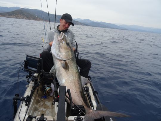 Pesca con il vivo di grandi pesci in mare: quali attrezzi e ami usare?