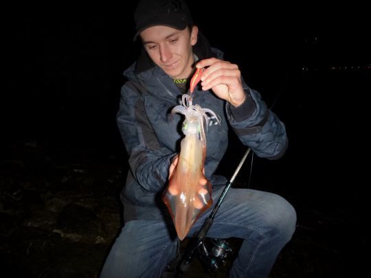 Le rose et le orange pour pêcher les calamars de nuit