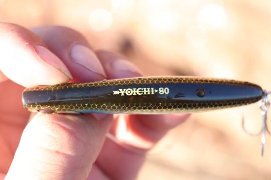 Le Yoishi 80 est très solide pour un si petit leurre !