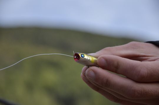 Le nœud direct sur le leurre