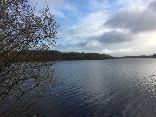 La pêche du brochet en plan d'eau demande une bonne connaissance des postes intéressants