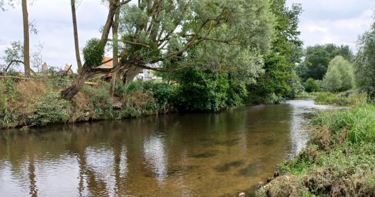 L'Arnon à St Georges-sur-Arnon