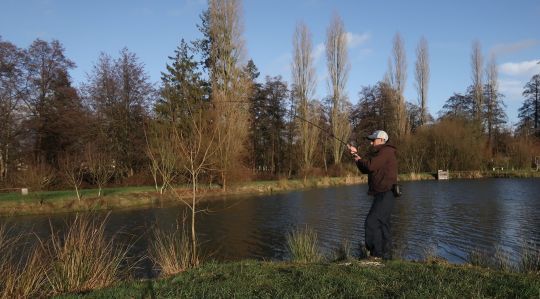 Des poissons très combatifs et puissants. En soie de 6 un régal! 