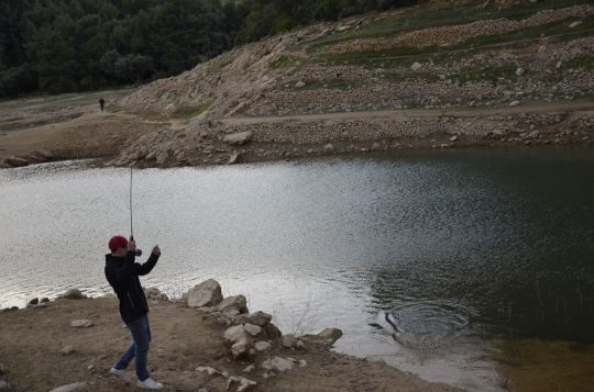 Des combats palpitants à la mouche