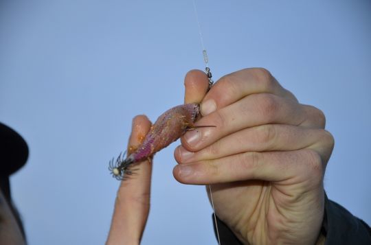 Les gels attractants pour pêcher en bateau