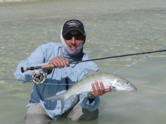 Joli bonefish bahamiens qui longeait une bordure et qui prendra une gotcha bien présentée