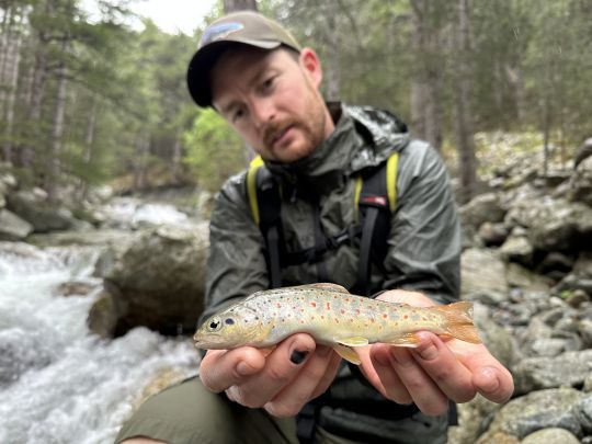 Pêche de la truite en rivière