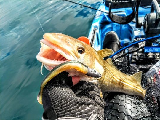 Il y a sans doute d'autres solutions pour ne pas priver les pêcheurs