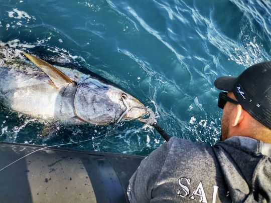 Ne sortez le poisson de l'eau que si vous souhaitez le conserver.