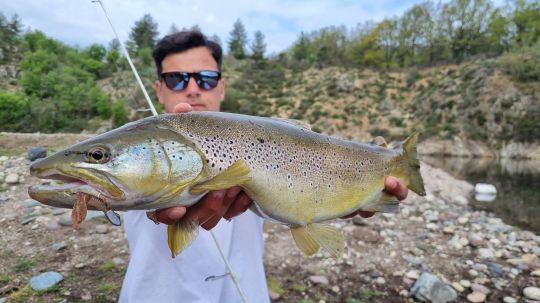 Les créatures donnent de bons résultats