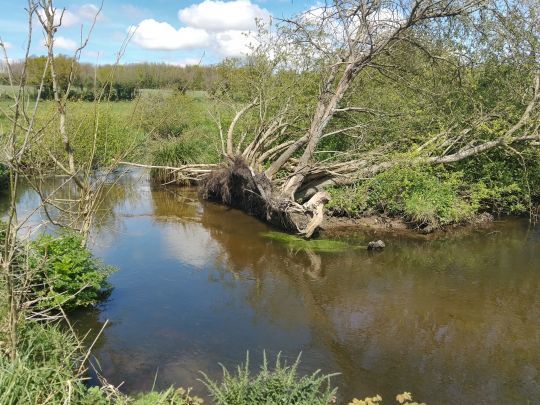 Des cours d'eau magiques à prospecter