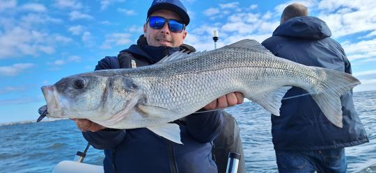 Pêcher de gros bars en fin de saison