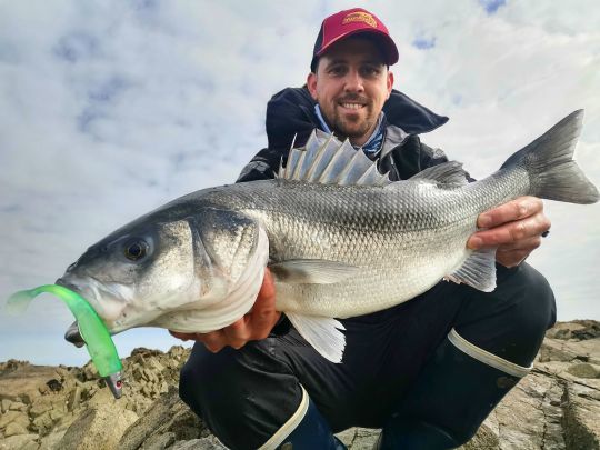 De beaux poissons sont présents très proches du rivage en début de saison. C'est l'une des périodes que je préfère pour pêcher ces spécimens.
