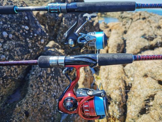 Les moulinets en taille 3000 à 4000 sont les plus utilisés par les pêcheurs de bar, que ce soit depuis le bord ou en bateau