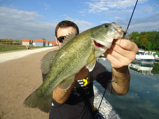 Il est même possible d'attraper du black-bass dans les canaux voisins