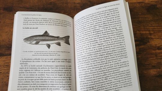 Diversification des espèces pêchées