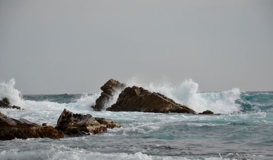 Pêcher les eaux brassées