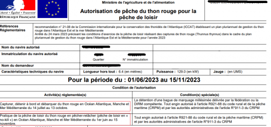 Demande d'autorisation pour la pêche du thon rouge