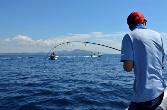 Défendre l'accès à la mer