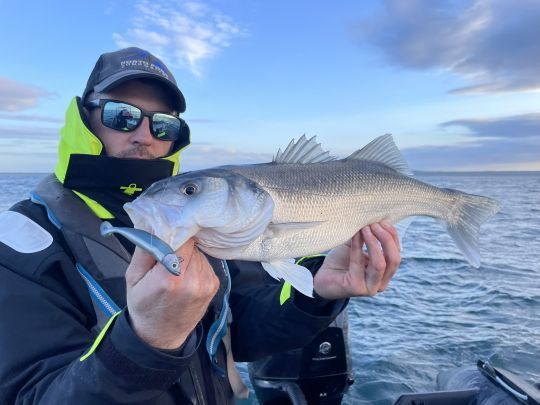 C'est souvent lors de la descente que les poissons attaquent. A ce petit jeu, le Master Shad de Fiiish est redoutable.