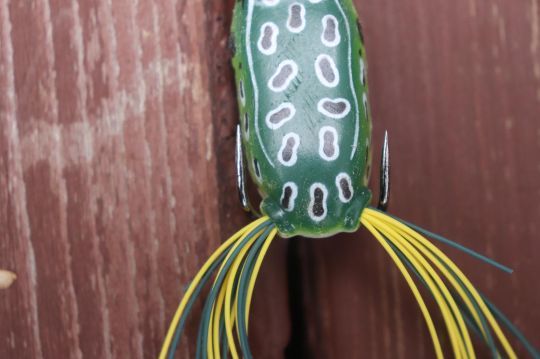 Les hameçons écartés permettent de mieux ferrer les poissons.