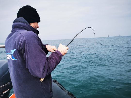 La pêche en verticale reste la plus adaptée pour traquer les lieus jaunes avec un montage en teaser.