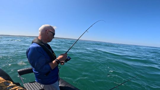 Pêche du bar en été