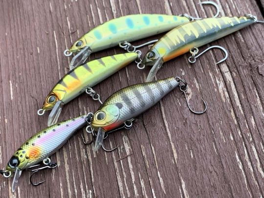 Les jerkbaits minnonw sont indispensables !