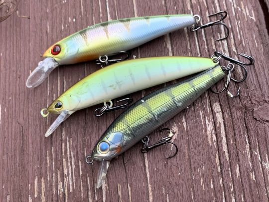 Le jerkbait minnow est indispensable !