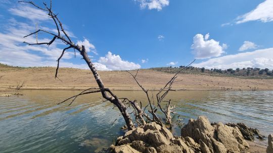 Un écosystème perturbé par le changement climatique