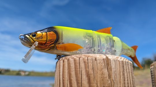 Un design audacieux, toujours pensé pour séduire autant les poissons que le pêcheur.