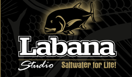 Labana Studio à vu le jour en 2020.