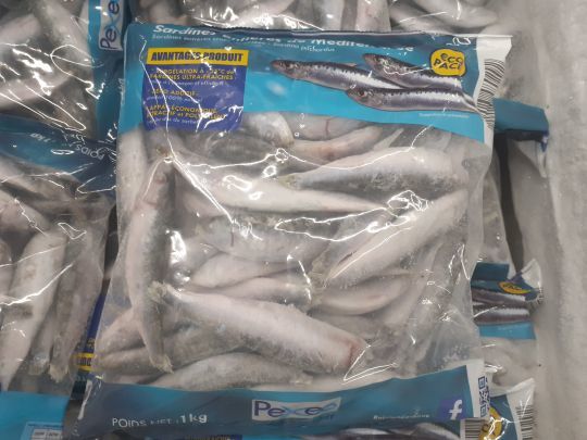 Les sardines, des appâts très efficaces sur le calamar.
