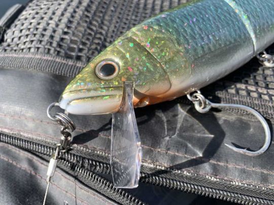 La bavette fait vite plonger le leurre.